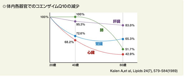 体内各器官でのコエンザイムQ10の減少　グラフ